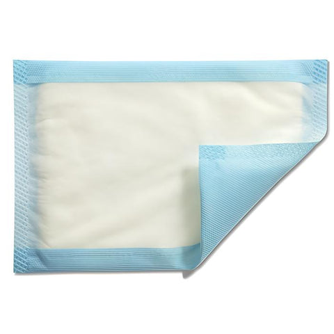 Mesorb Dressing 23 X 25cm