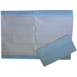 Bed Protector (Bluey) 60X90 cm
